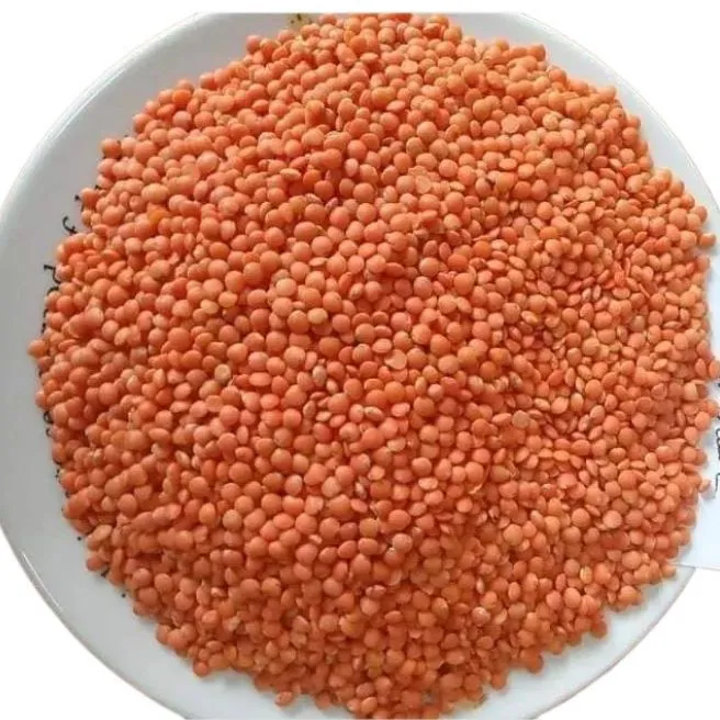 মসুর ডাল (প্রিমিয়াম)